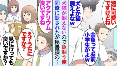 【セカイノフシギ】【漫画】ペットを飼うのに憧れていた俺。大家「鳴き声がうるさくない動物なら」アクアリウムを始めたが、いつも飼い猫自慢をしている同僚に見下され→秘書課の女性たちが飲み会で食いついてきて…【マンガ動画】