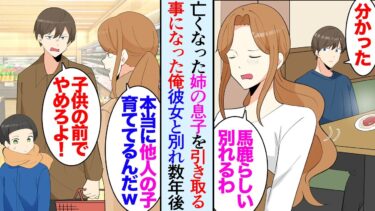 【セカイノフシギ】【漫画】亡くなった姉の一人息子を引き取った俺。当時交際していた彼女に大反対され別れた。父と俺と甥の３人で暮らすことに→元カノ「本当に他人の子供育ててるんだｗ一生独身確定だねｗ」数年後…【マンガ動画】